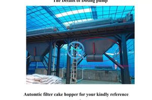 Sludge Treatment  Auxiliary Equipment  Air Compressor Belt Conveyor Cake Hopper And So on 